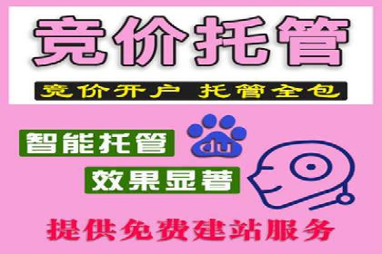 专业SEM托管服务成功案例分享